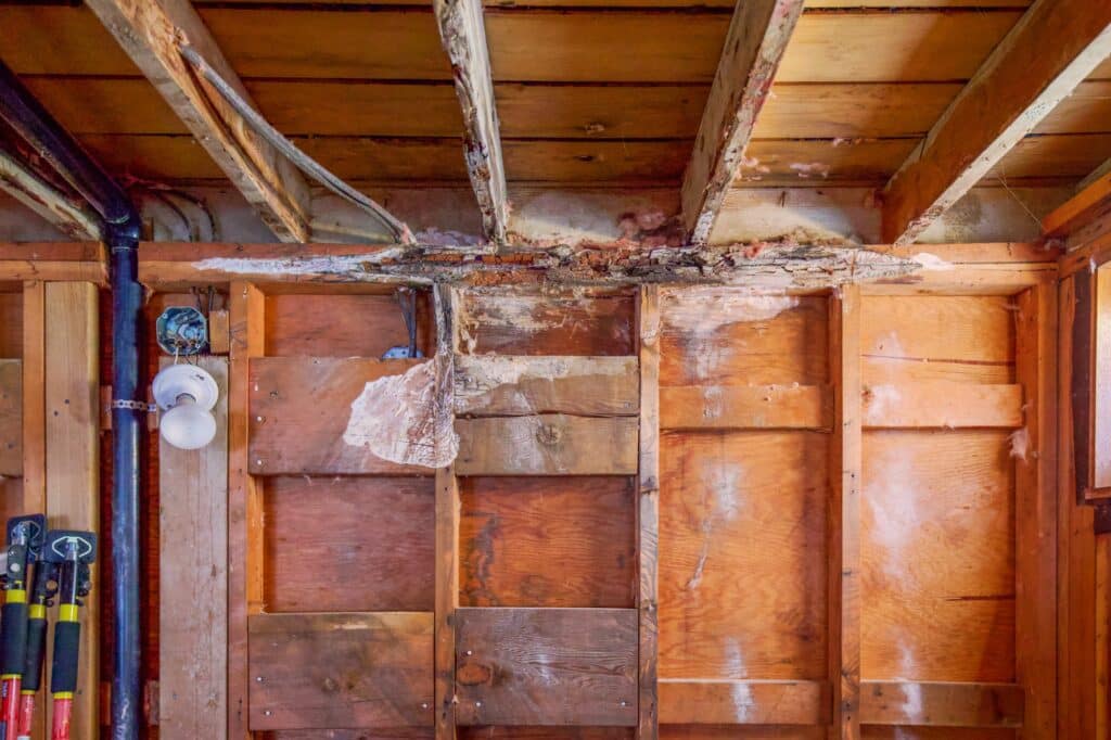 Dry rot bathroom wall