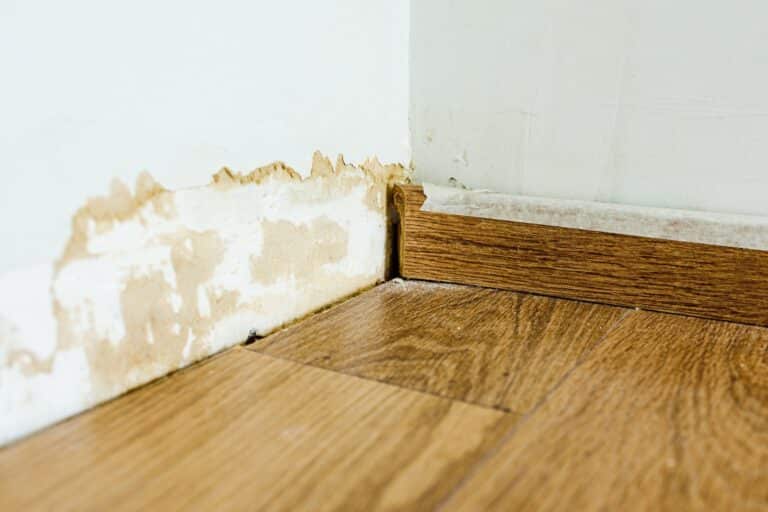 Skirting board on a wall damaged by mold.